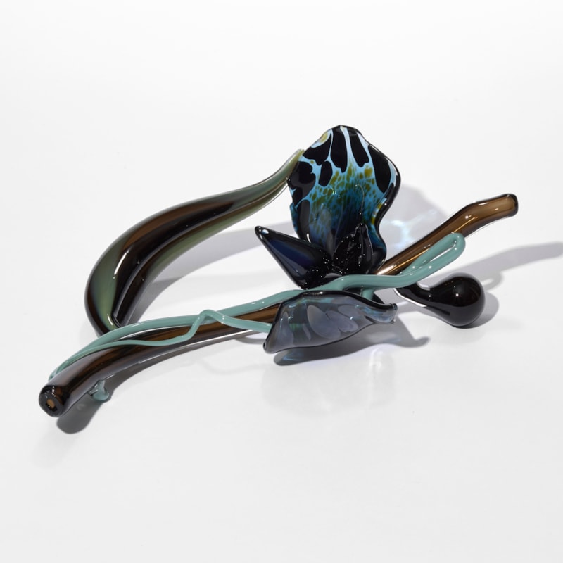 glossy brown jade indigo and blue stylised prone orchid hand blown and sculpted from glass