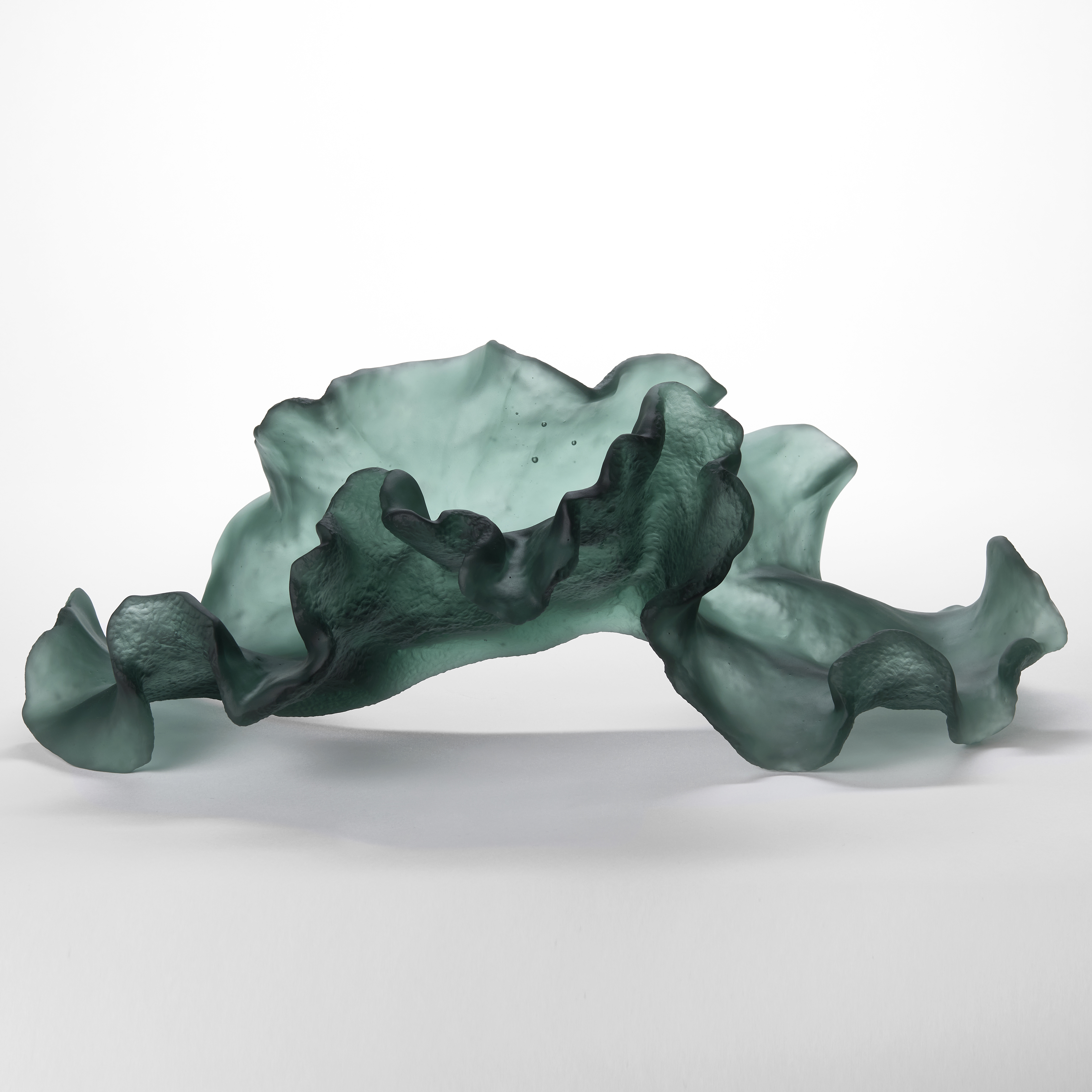 large wide rippling arched dark grey green organic sculpture with the appearance of a piece of floating coral or seaweed hand made from glass