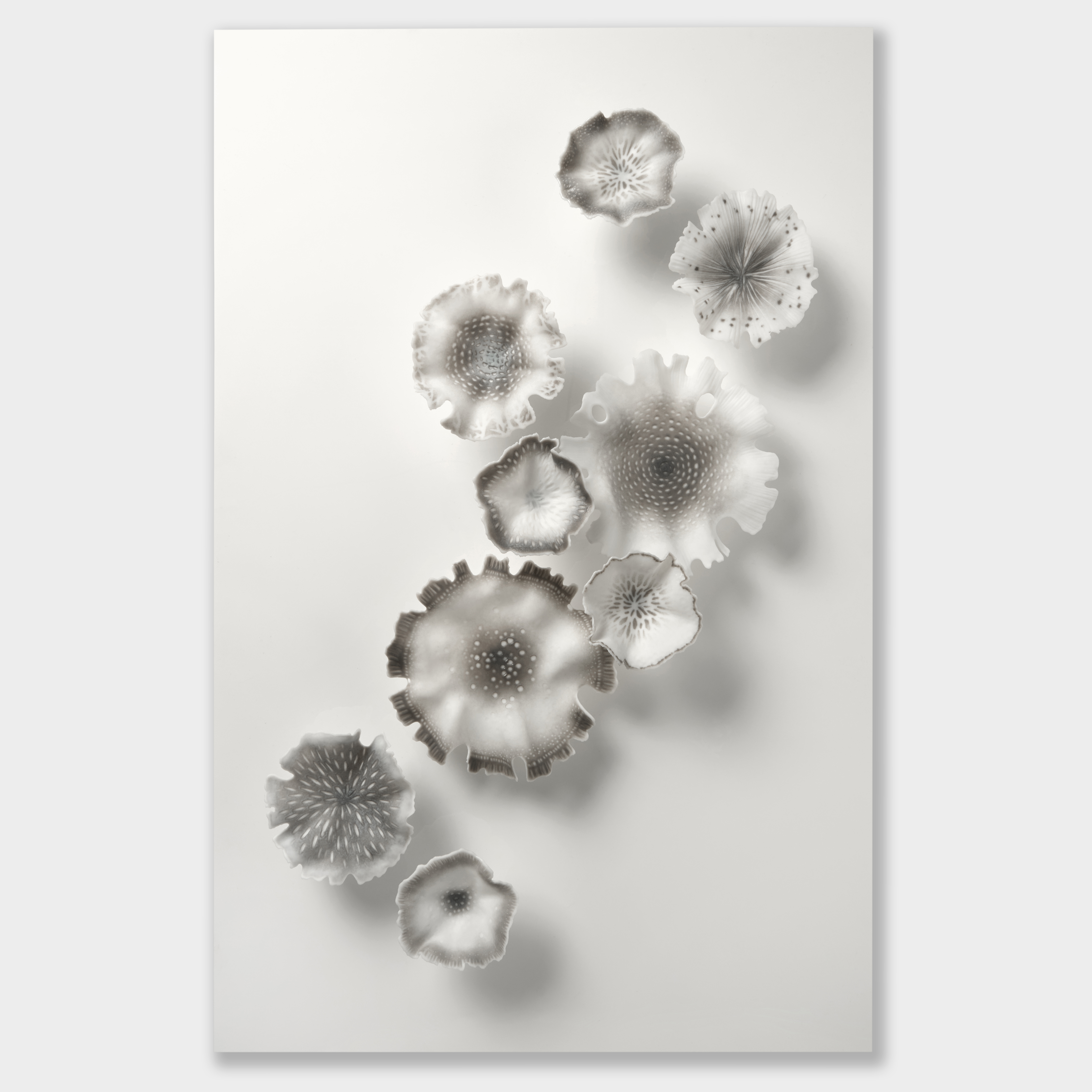 series of nine organic soft feather edged ethereal floral and mushroom inspired wall mounted forms in white and warm bronze grey with dappled patterns on the surface hand made from glass