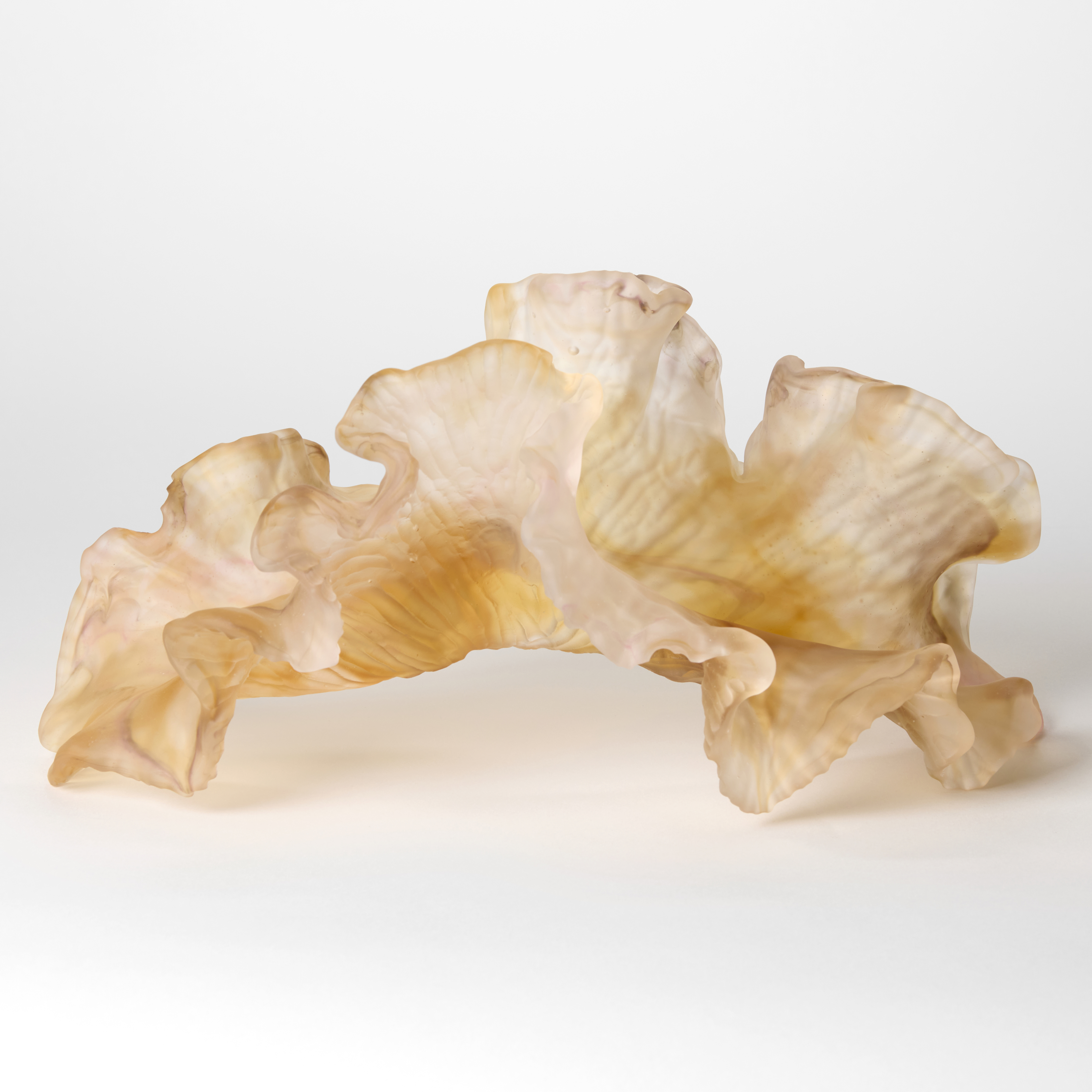 opaque soft amber pink and nude organic sculpture with the appearance of a piece of coral or frilled seaweed hand made from cast glass with a soft satin matt surface and ridged incised underside
