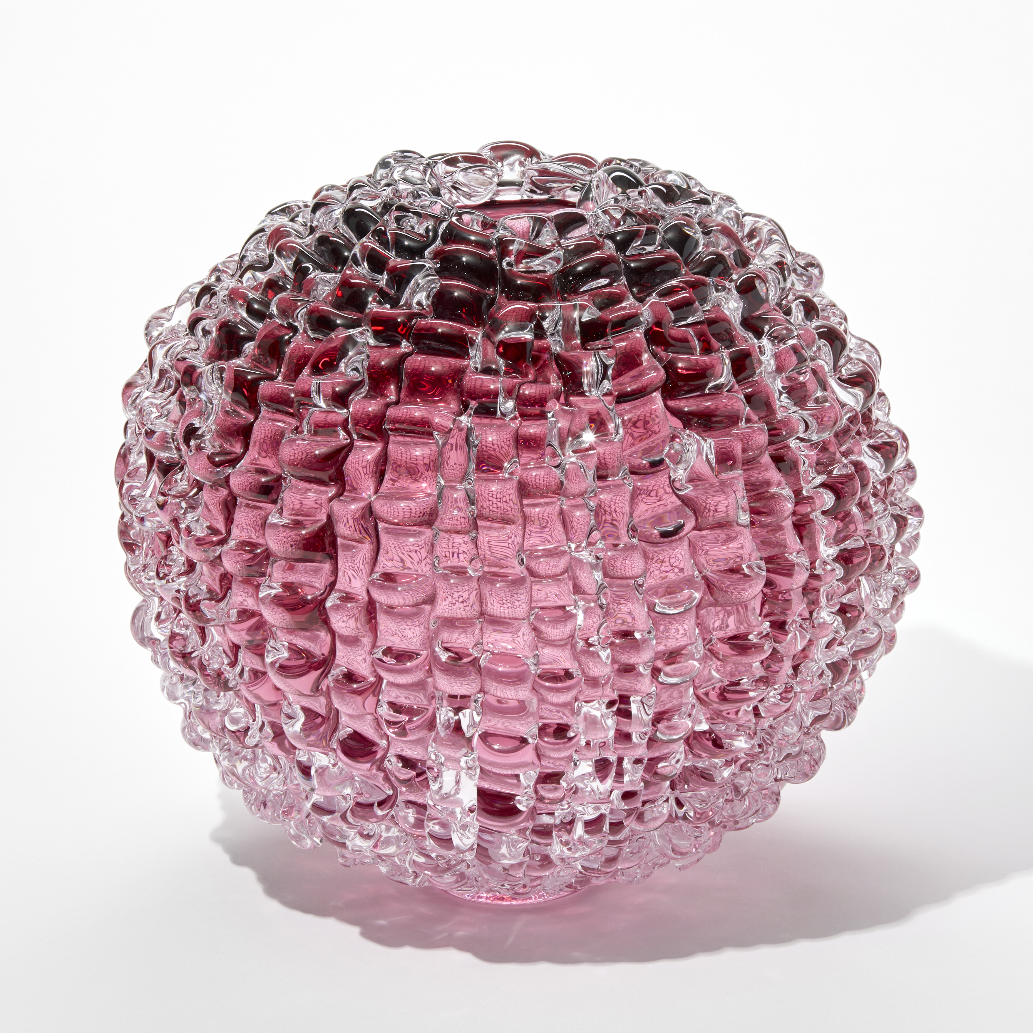 Echinus in Heliotrope