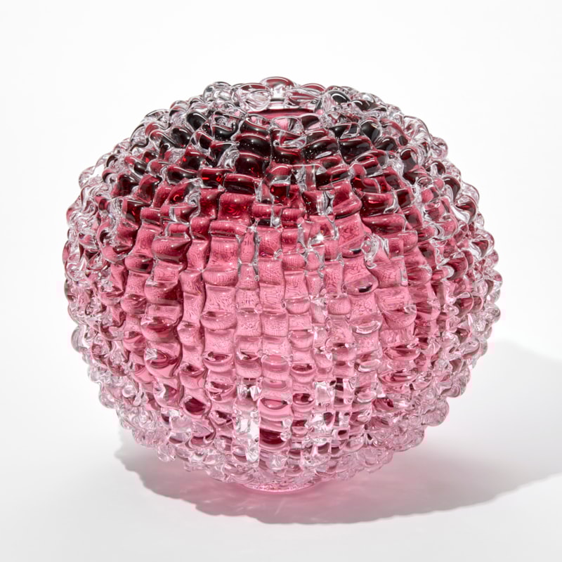 Echinus in Heliotrope