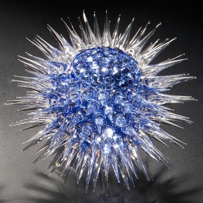 Urchin