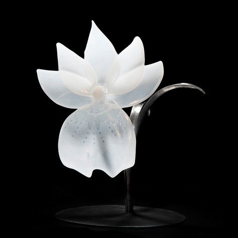 Pansy Orchid on stand