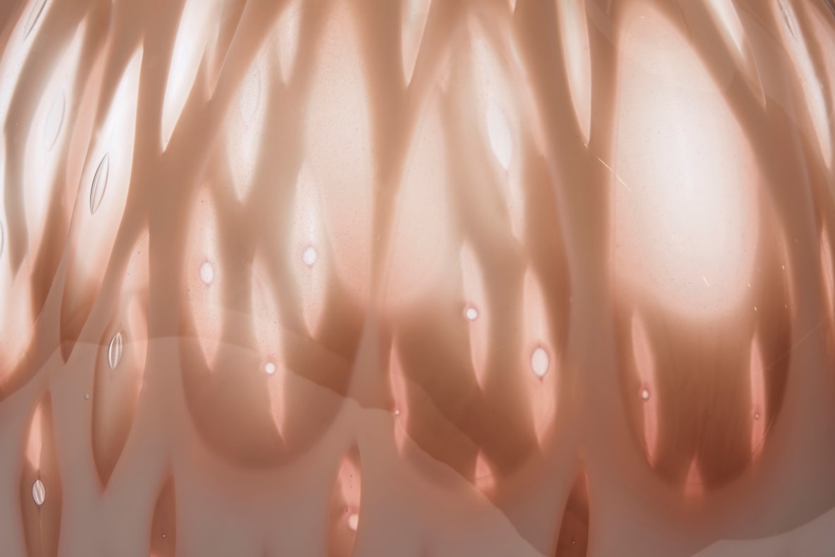 Fantasy Plants | A solo exhibition by Michèle Oberdieck