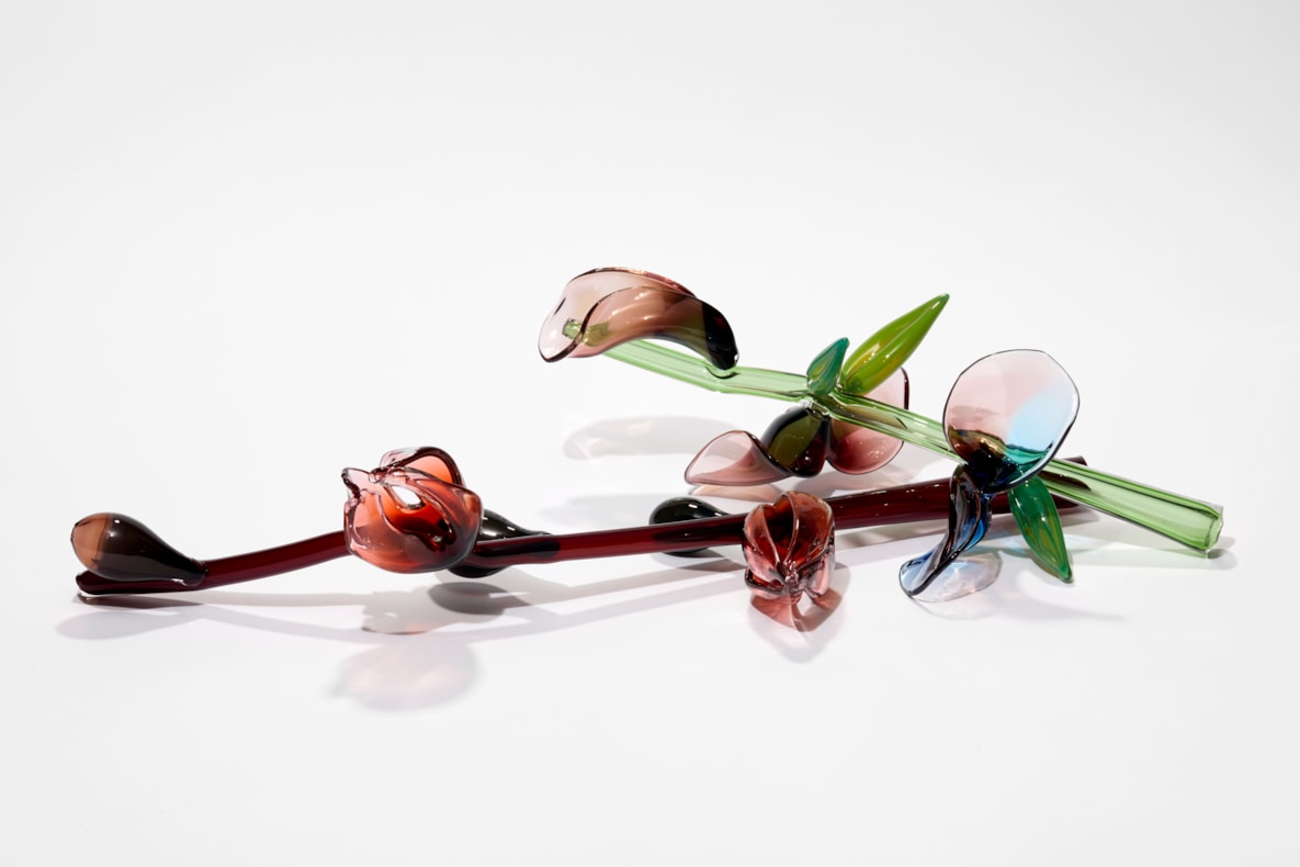 Fantasy Plants | A solo exhibition by Michèle Oberdieck