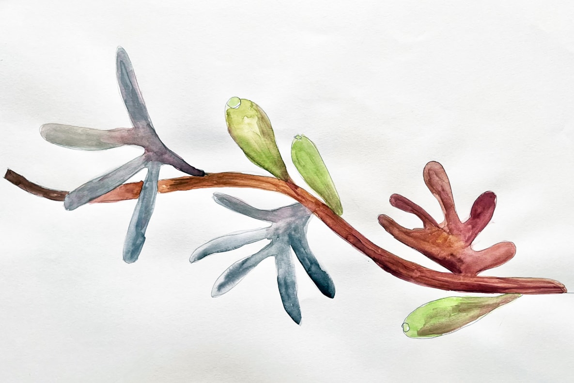 Fantasy Plants | A solo exhibition by Michèle Oberdieck