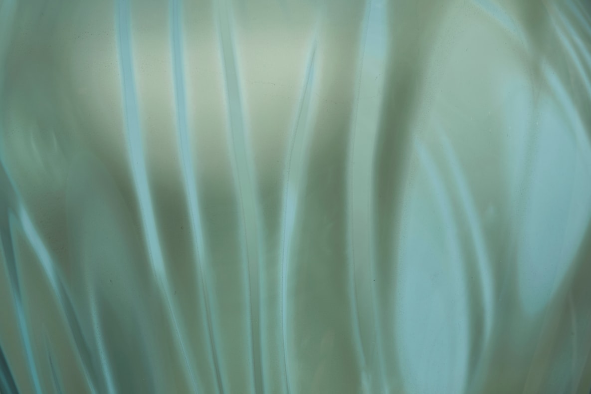 Fantasy Plants | A solo exhibition by Michèle Oberdieck