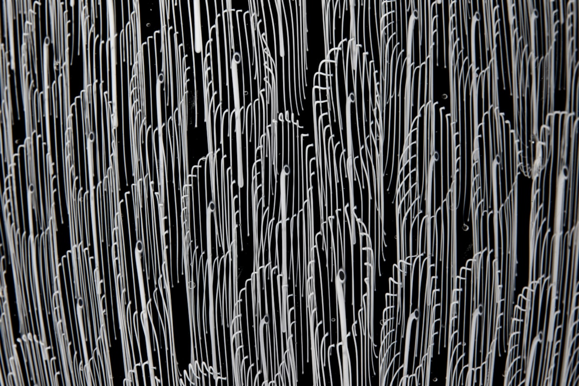 Lines of Inquiry I A solo exhibition by Peter Bowles