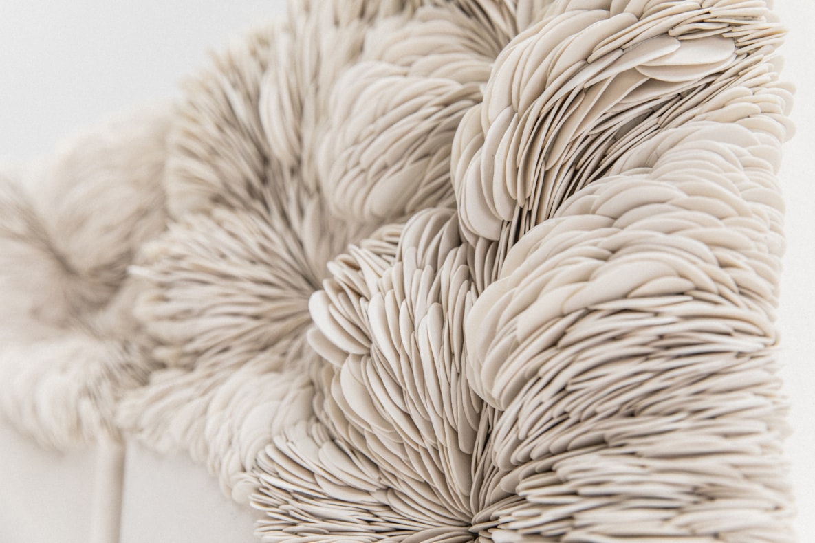 Layer by Layer | A solo exhibition by Olivia Walker