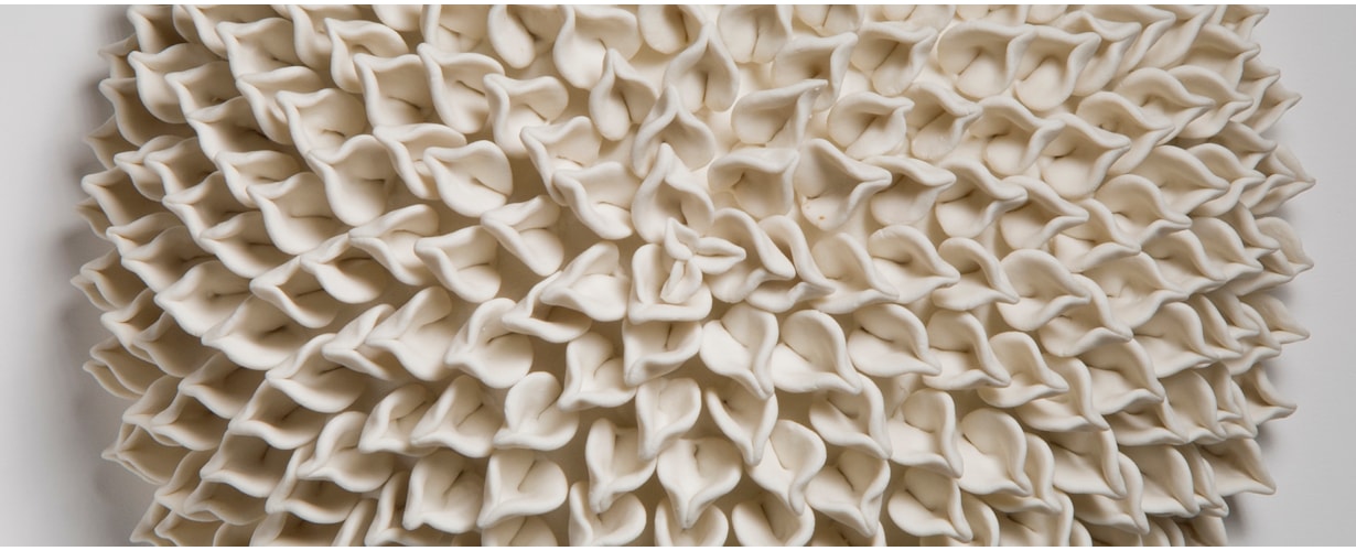 Wall Flowers by Vanessa Hogge