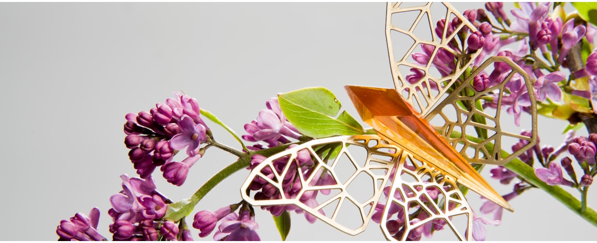 Natural History by Hanne Enemark