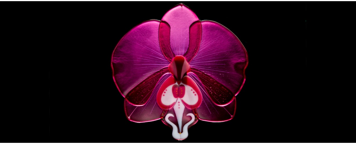 Floralia by Laura Hart