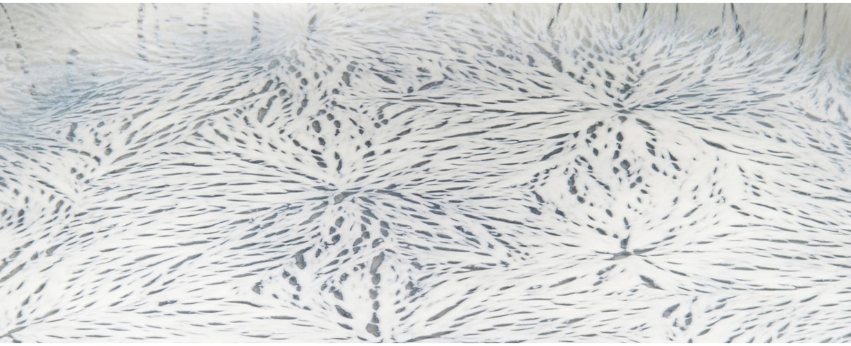 Winter Whites at Vessel Gallery
