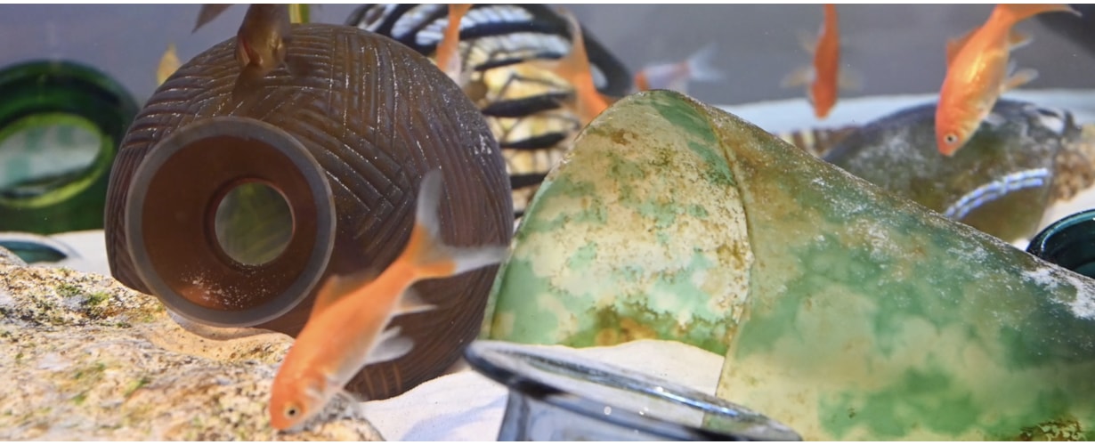 Amphore Métaphore | A film by Baldwin & Guggisberg