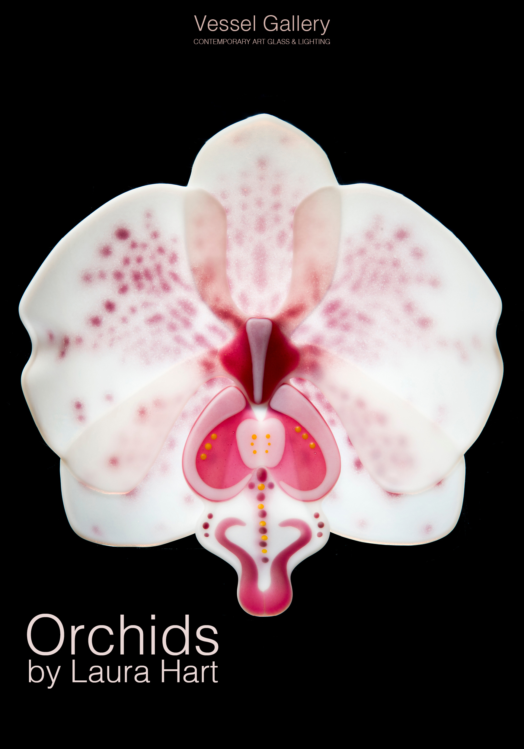 Orchids by Laura Hart