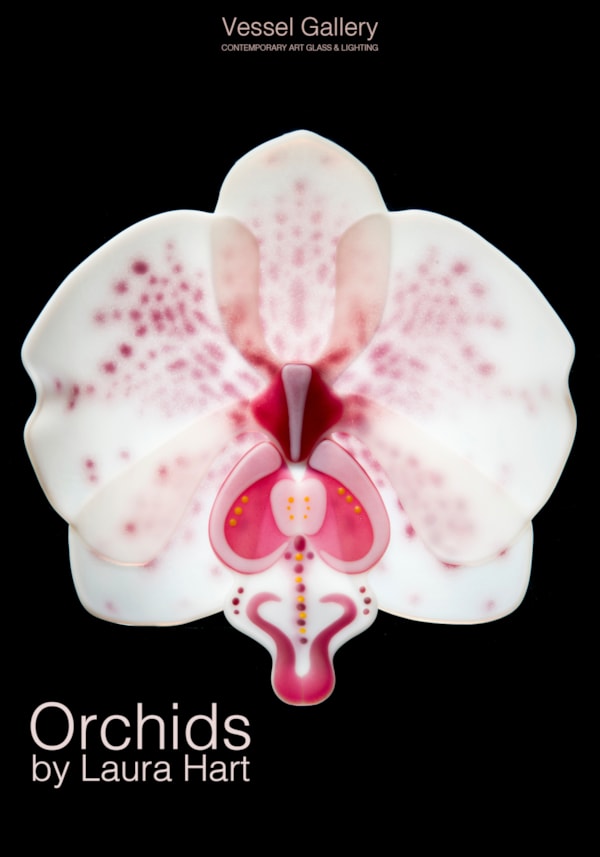 Orchids by Laura Hart