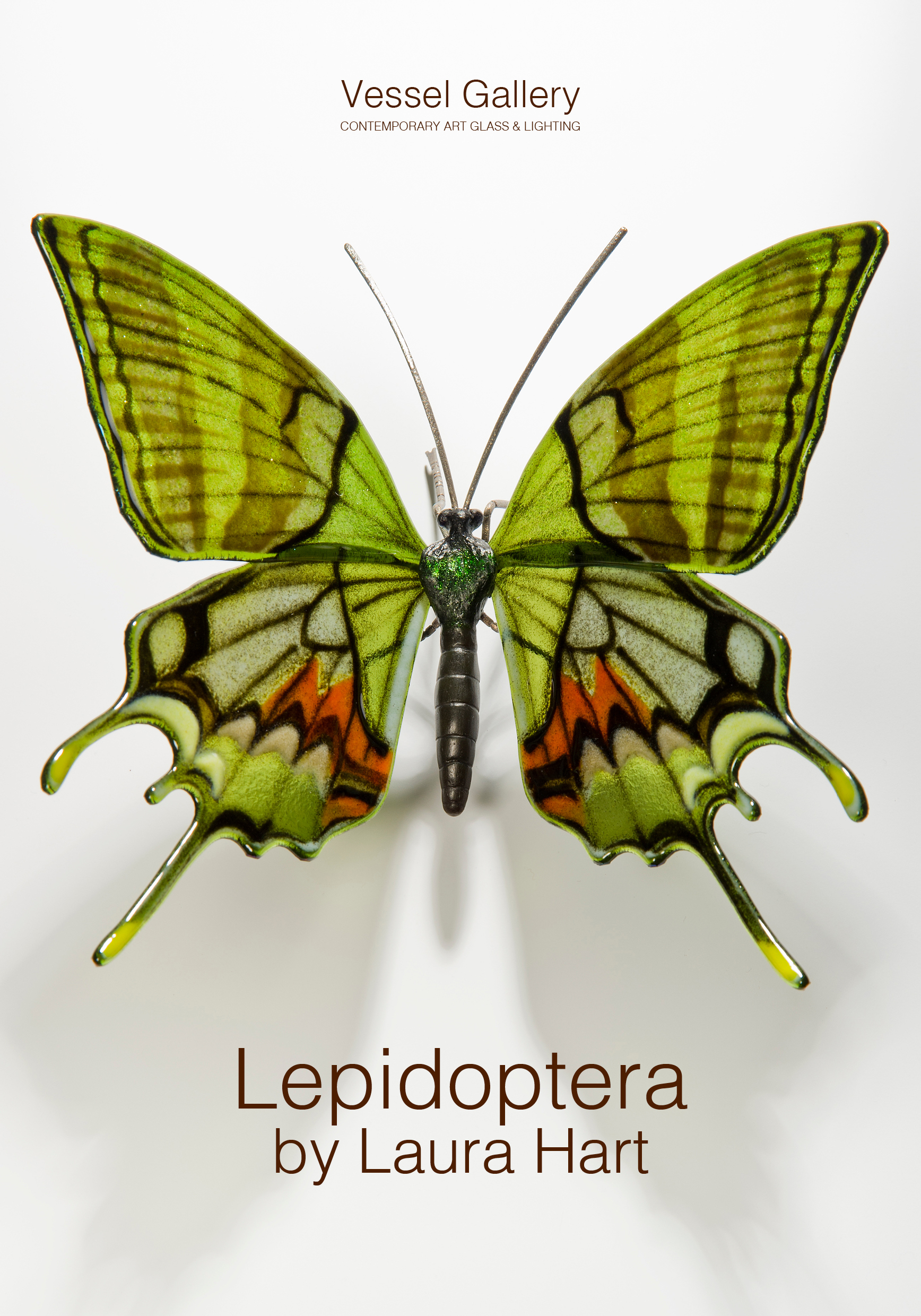 Lepidoptera by Laura Hart